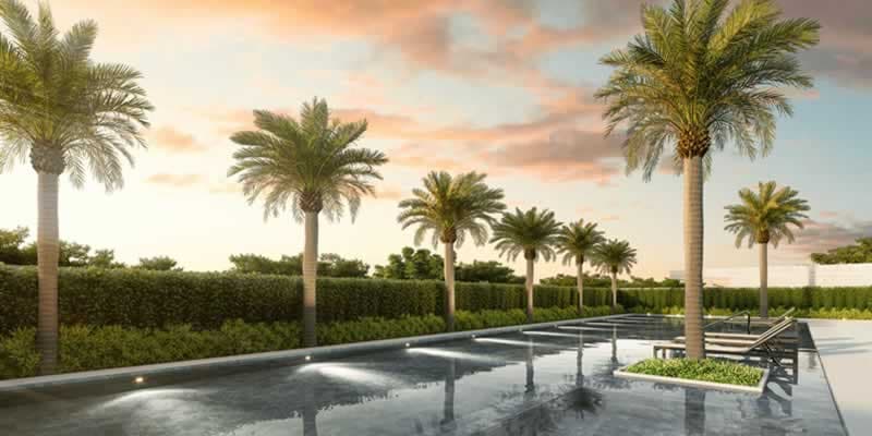 Foto de Living Only Ipiranga