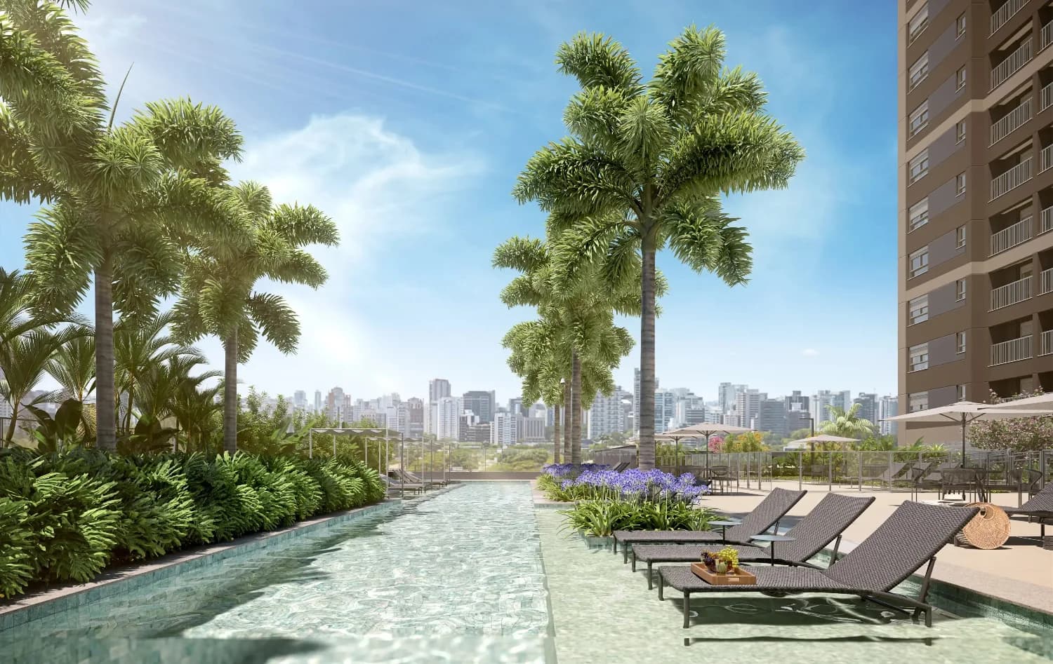 Foto de Andrômeda by MPD