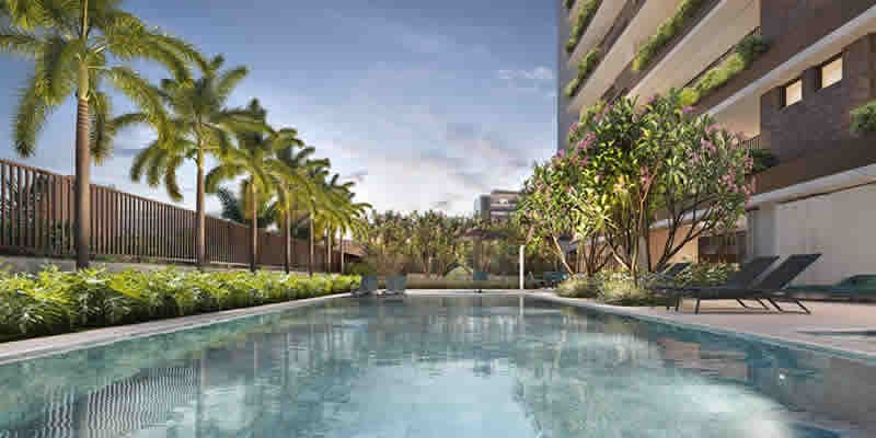 Foto de Breve Lançamento Praça Pedroso